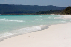 Charadrius dealbatus