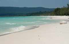 Charadrius dealbatus