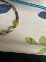 Reticulitermes hesperus