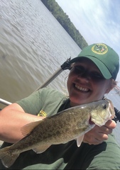 Micropterus henshalli