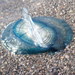 photo of By-the-wind Sailor (Velella velella)