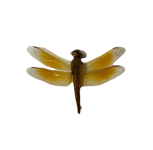 Ditch Jewel