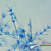 Calcarisporium arbuscula - Photo (c) Jerry Cooper, algunos derechos reservados (CC BY), subido por Jerry Cooper