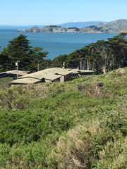 Euphydryas chalcedona