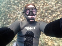 Leptomithrax gaimardii