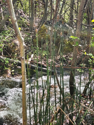 Como Lake Loop National Recreation Trail