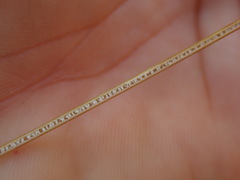 Juncus distegus