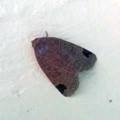 Oglasa