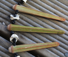 Heterocentrotus trigonarius