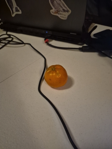 iNaturalist observation photo of tangerine