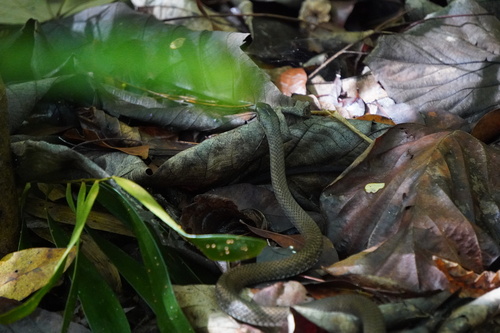International Day for Biodiversity: Project Results