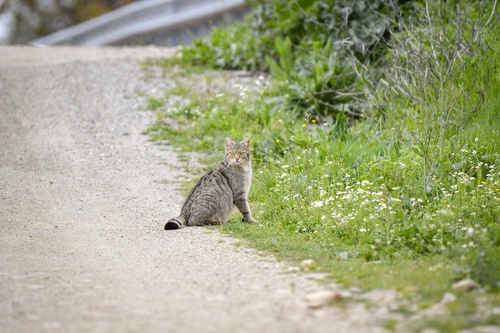 International Day for Biodiversity: Project Results