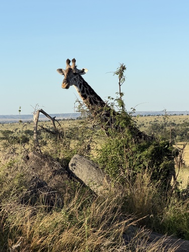 International Day for Biodiversity: Project Results