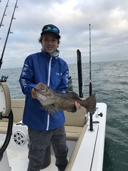 Mycteroperca microlepis