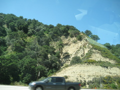 Diplacus longiflorus