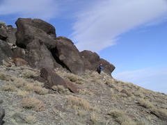 Hypsiglena chlorophaea