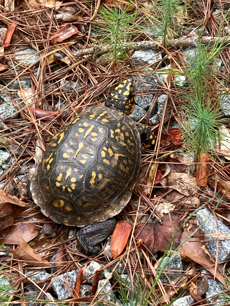 observations — 2023-09-14