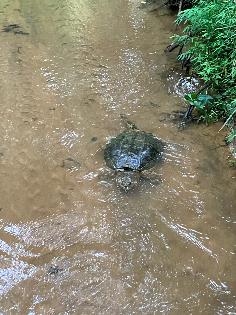 observations — 2024-09-14