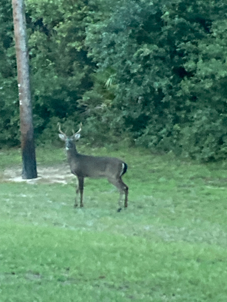 observations — 2022-09-16