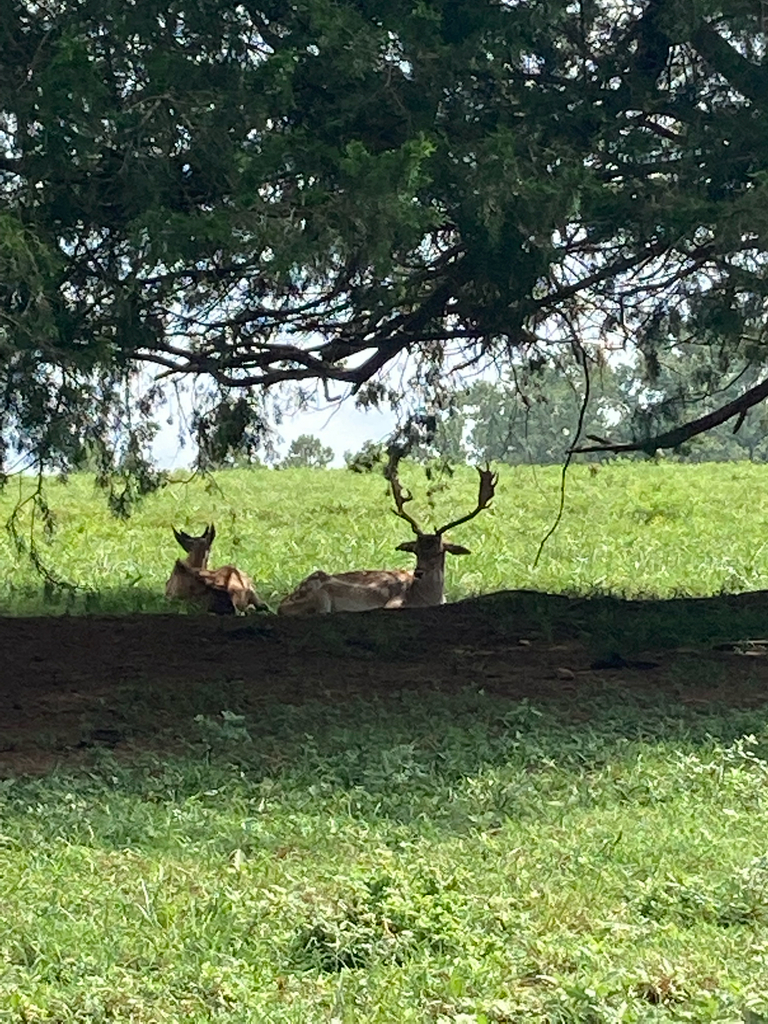 observations — 2021-08-15