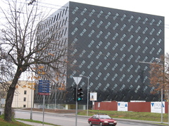 Aesculus hippocastanum