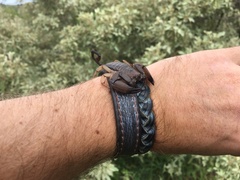 Hadogenes troglodytes