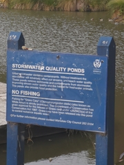 Ctenopharyngodon idella