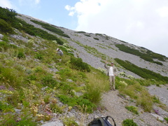 Rammeihippus dinaricus