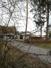 Crataegus flabellata