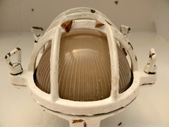 Heliothis cystiphora