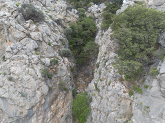 Quercus aucheri, photograph (c) Eleftherios Katsillis, some rights reserved (CC BY)