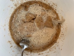 Saccharomyces cerevisiae