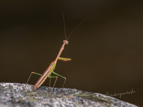International Day for Biodiversity: Project Results