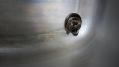 Crotaphopeltis hotamboeia