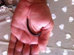 Pachyiulus oenologus