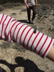 Dracotettix monstrosus