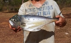 Scomberoides commersonnianus