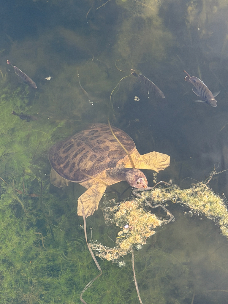 observations — 2026-05-21