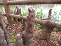 Taxodium distichum
