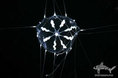 Melicertum