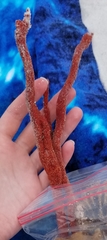 Clathria prolifera