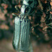 Micromalthus debilis - Photo (c) David R. Maddison, algunos derechos reservados (CC BY-NC)