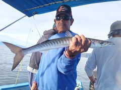 Cortez Barracuda photo 2