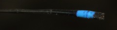 Acanthagrion trilobatum
