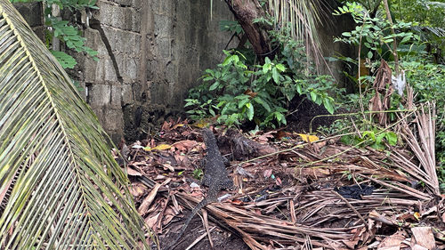 Common Water Monitor
