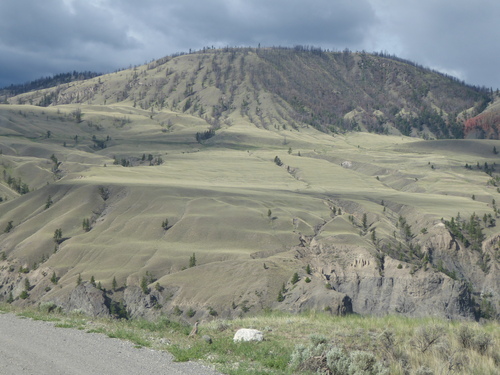 Chukar