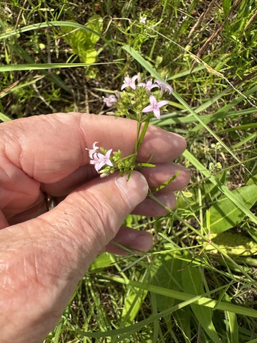 diamond-flowers
