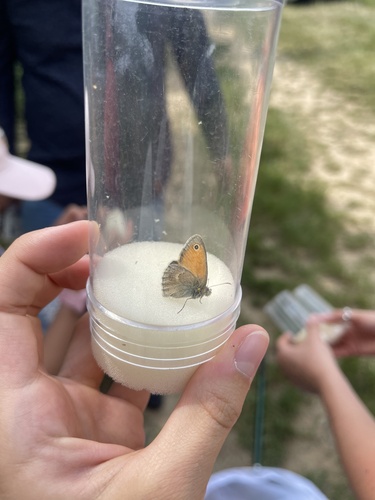Small Heath