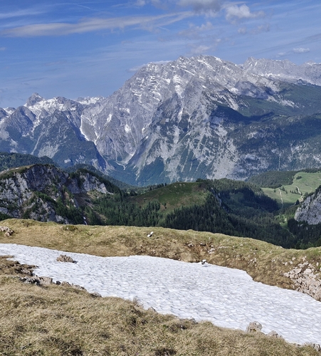 Alpine Rock Ptarmigan