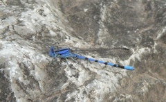 Argia nahuana